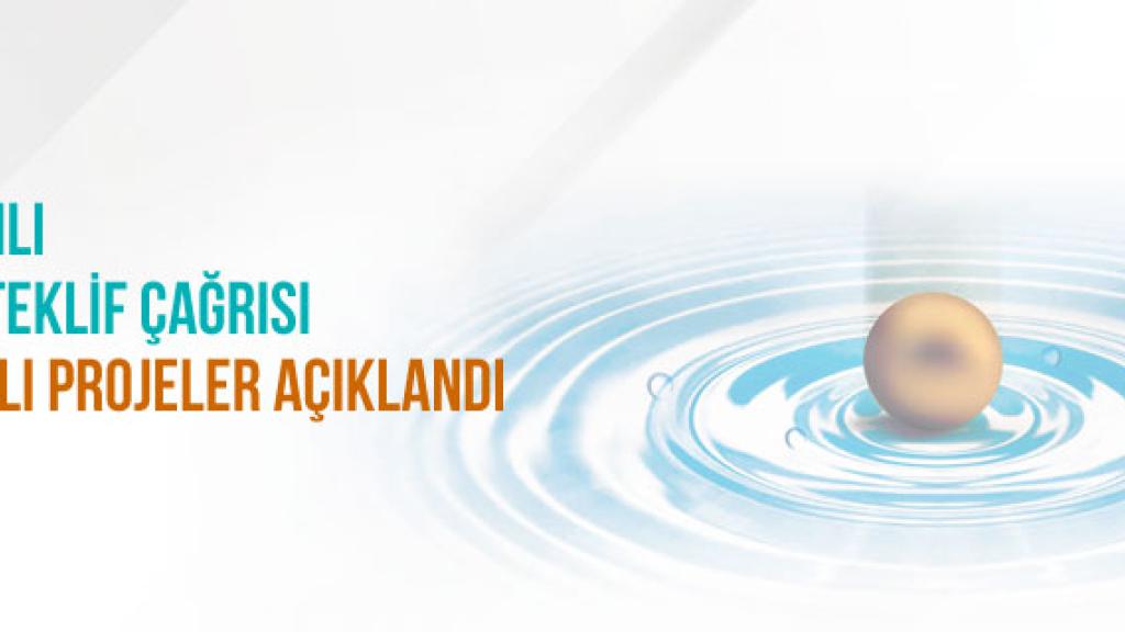Ankara Kalkınma Ajansı 2018 Yılı Teklif Çağrısı Sonuçları