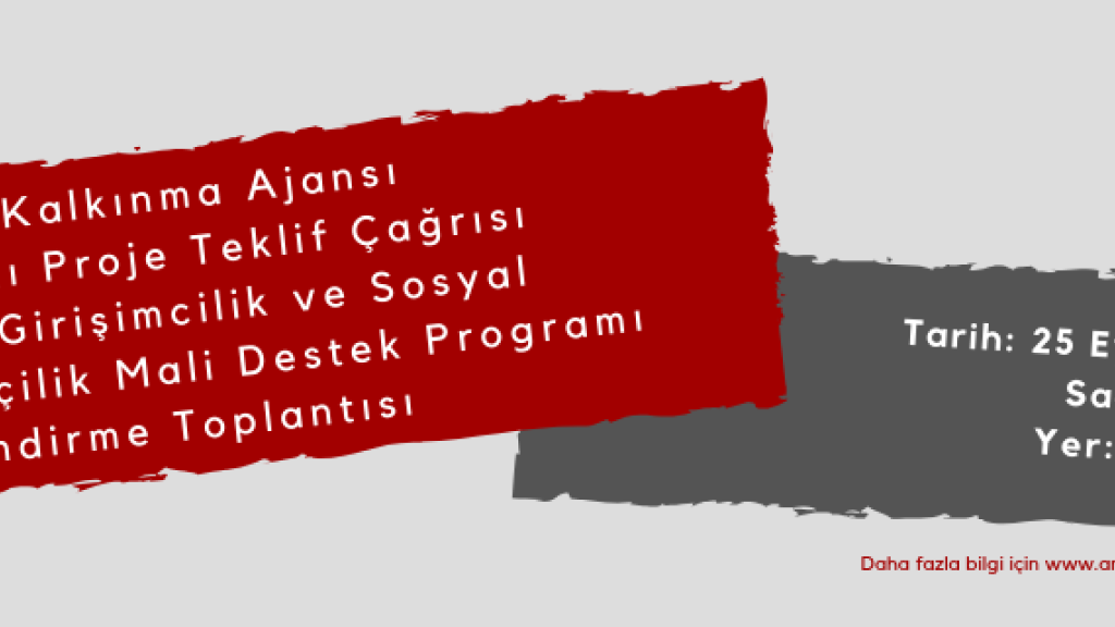 Sosyal Girişimcilik ve Sosyal Yenilikçilik Mali Destek Programı Bilgilendirme ve Tanıtım Toplantısı
