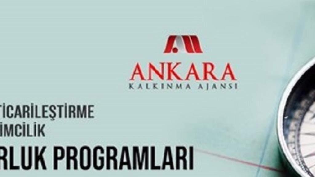 Teknoloji Ticarileştirme ve Kadın Girişimcilik Mentorluk Programlarının Başvuruları Yıl Sonuna Kadar Uzatıldı